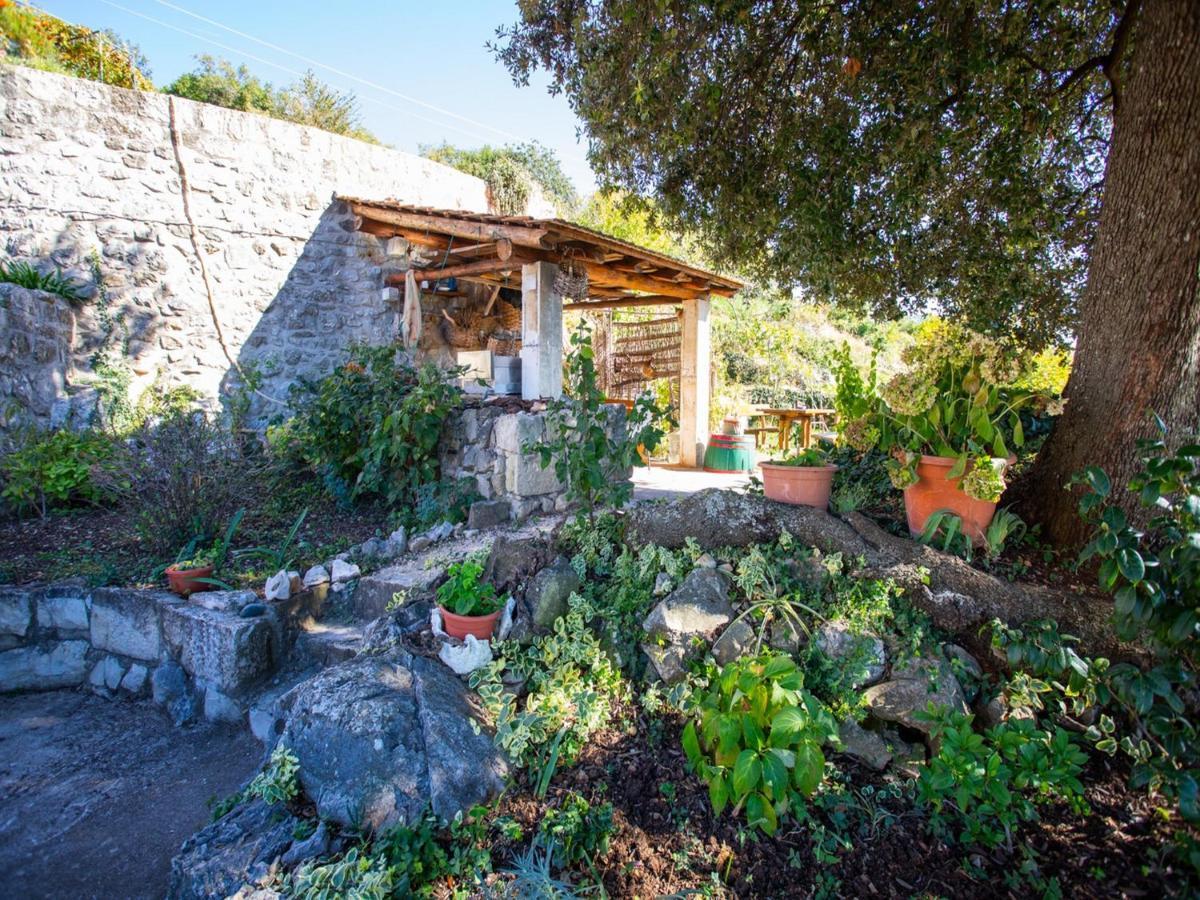 Country House Bakicevo Čilipi Szoba fotó