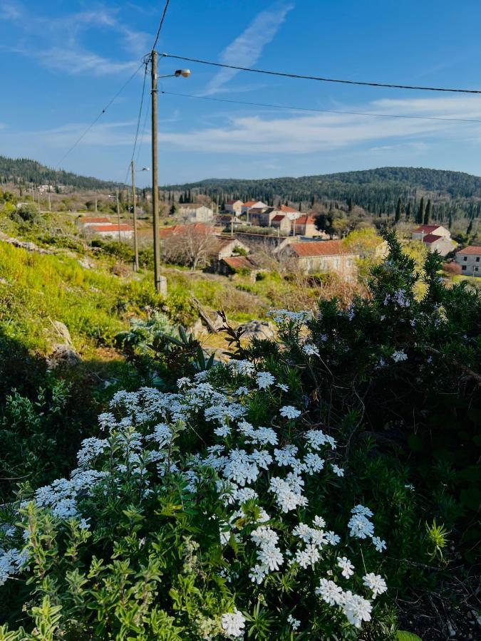 Country House Bakicevo Čilipi Kültér fotó