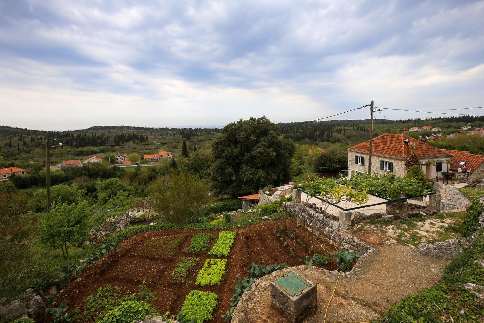 Country House Bakicevo Čilipi Kültér fotó