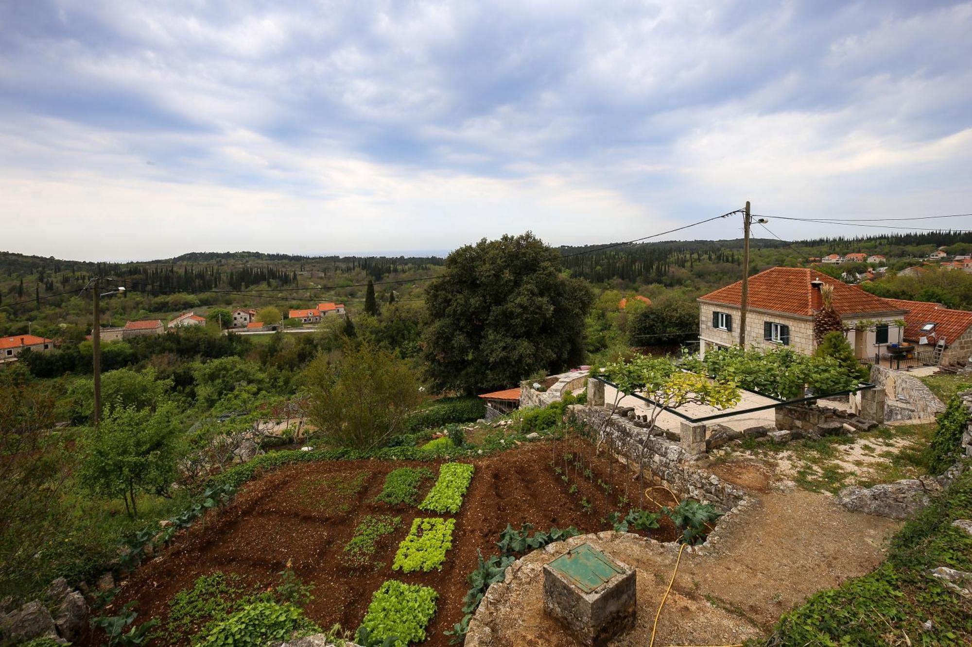 Country House Bakicevo Villa Čilipi Kültér fotó