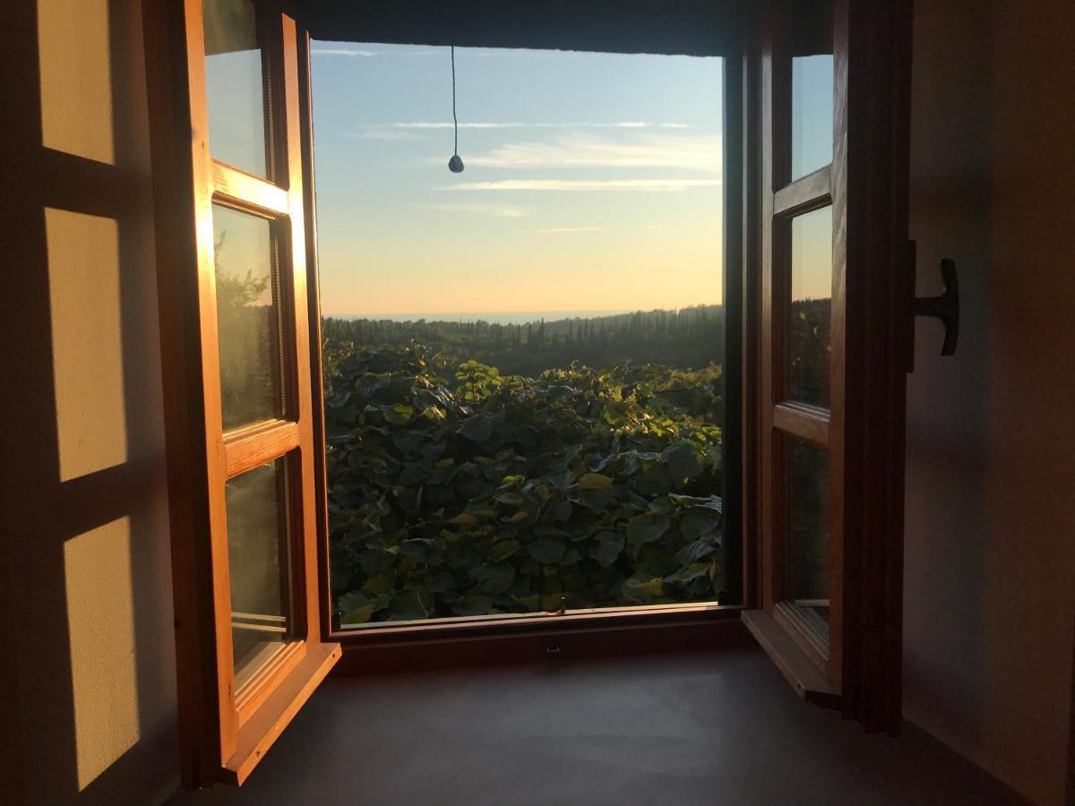Country House Bakicevo Čilipi Kültér fotó